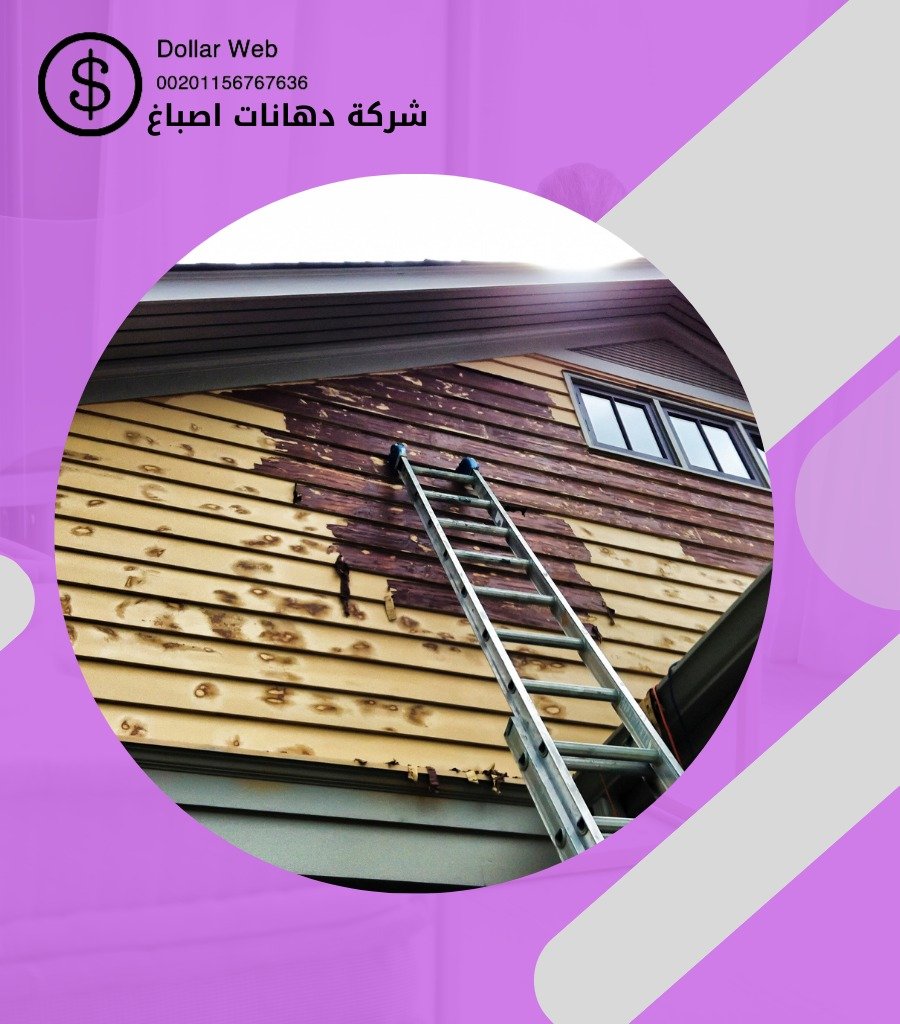 صباغ منازل غرناطة الكويت